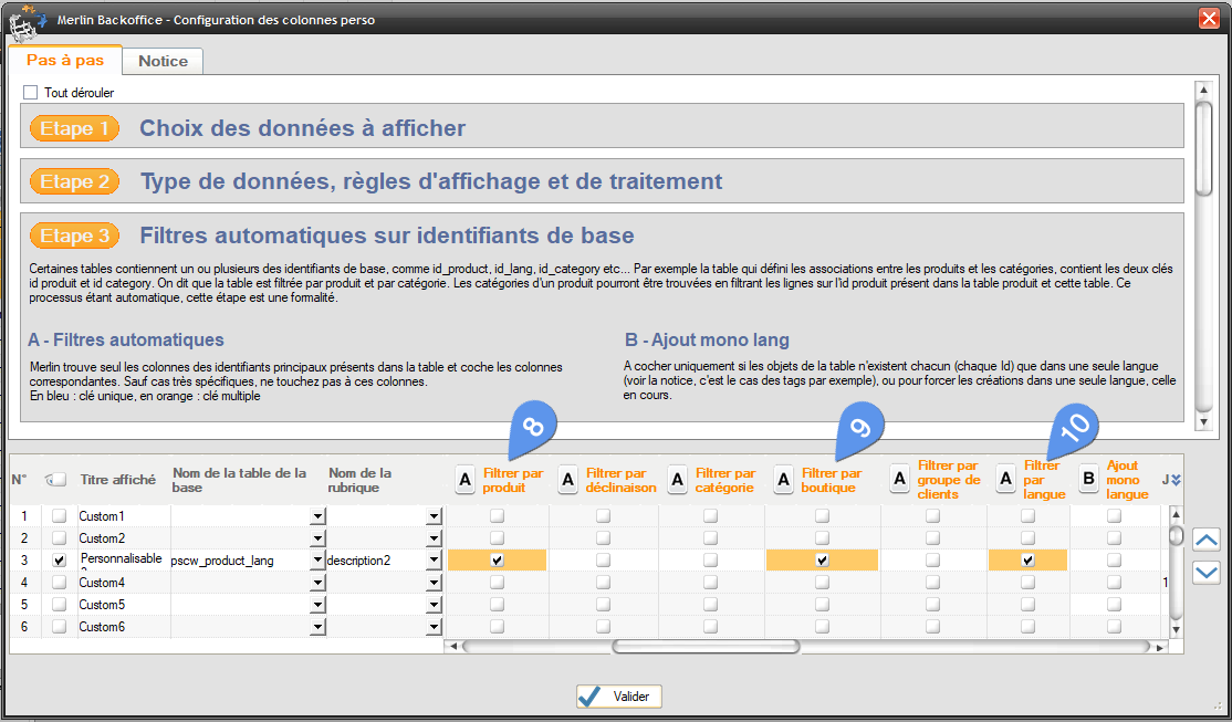 Custom fields, tuto 1 - image 6 - Automatic filters